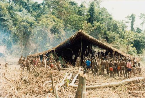 Bivouac near Yaniruma sago feast
